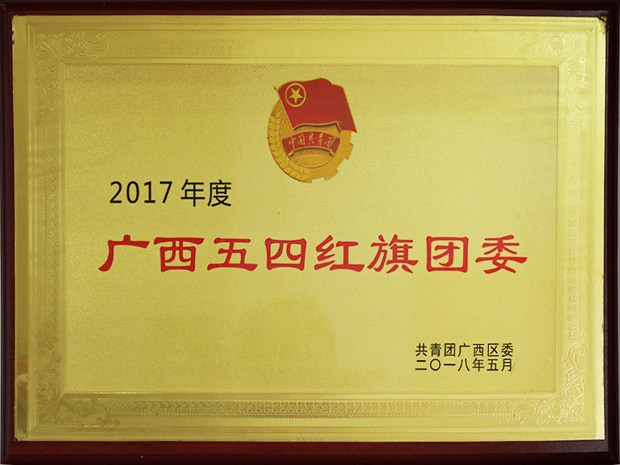 2017年度廣西五四紅旗團(tuán)委